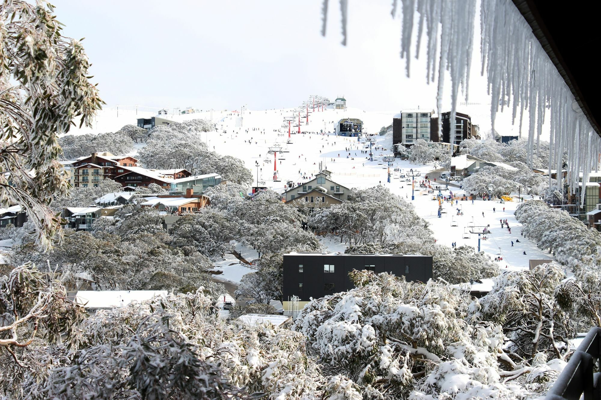 Alpine Retreat Mt Buller Hotel Mount Buller Exterior foto